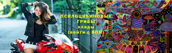 кокс Гусь-Хрустальный