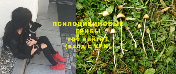 винт Гусиноозёрск