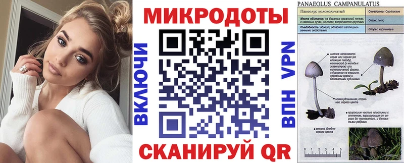 Псилоцибиновые грибы прущие грибы  Заводоуковск 